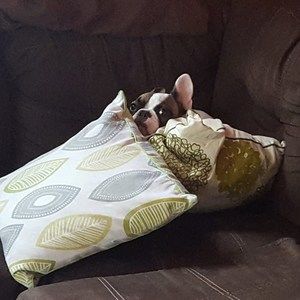 Meet your Posher, Scott